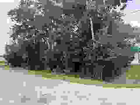 Photo of TBD Fulton St, Sour Lake, TX 77659 (MLS # 269786)