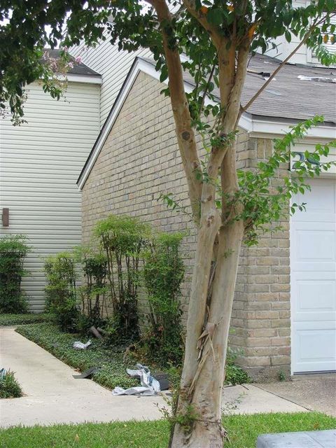 Photo of 1212 N Major, Beaumont, TX 77726 (MLS # 263651)