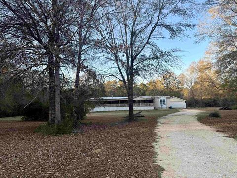 Photo of 669 Cr 1245, Woodville, TX 75979 (MLS # 264374)