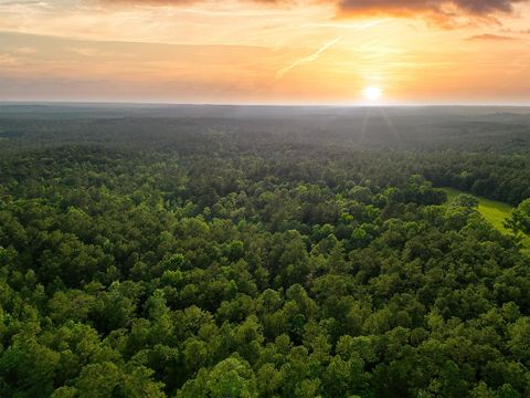 Photo of TBD County Road 425, Kirbyville, TX 75956 (MLS # 264387)