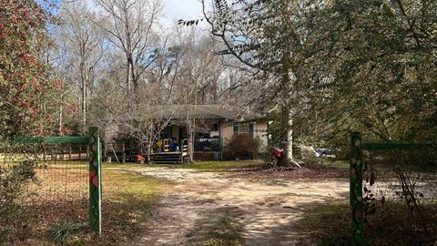 Photo of 1503 County Road 4455, Hillister, TX 77625 (MLS # 264596)