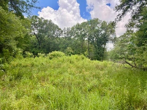 Photo of 1000 Butler, Vidor, TX 77662 (MLS # 268450)