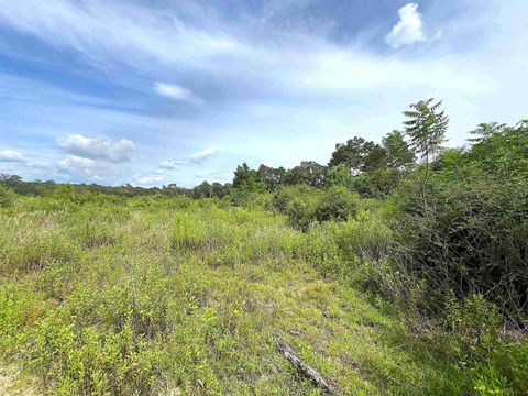 Photo of 10215 E Gentry Dr, Silsbee, TX 77656 (MLS # 264522)