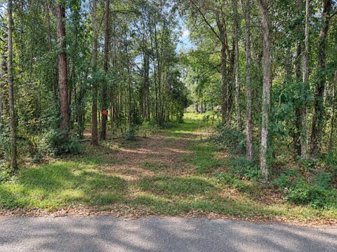 Photo of 270 E Elizabeth St, Vidor, TX 77662 (MLS # 271334)