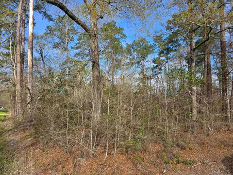 Photo of Patricia St., Orange, TX 77632 (MLS # 265475)