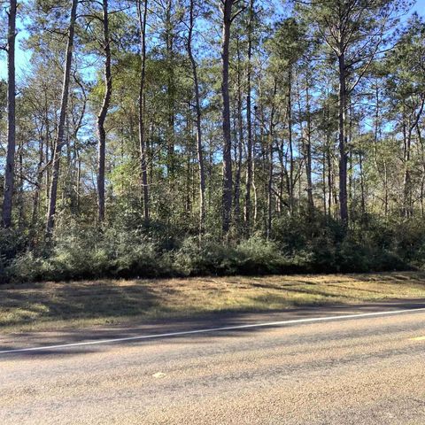 Photo of 4012 E Highway 190, Newton, TX 75966 (MLS # 264325)