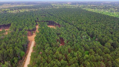 Photo of 16201 Rustric Ranch Rd, Sour Lake, TX 77659 (MLS # 266155)