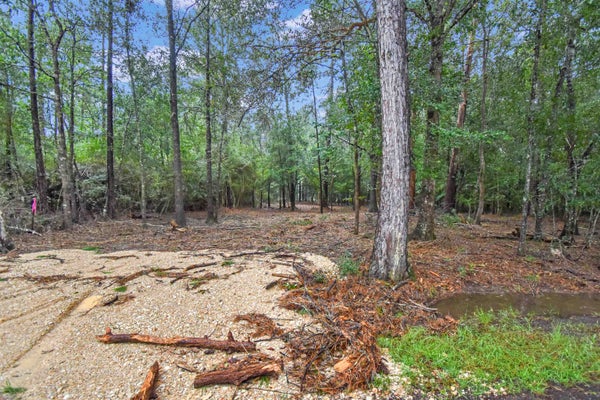 2770 COLONIAL DR, KOUNTZE, TX 77625 - Image 7d37cbfc0b954e9703551c2a4ca4dc49/1585518485