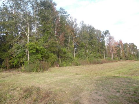 Photo of 855 Gentry Rd, Silsbee, TX 77656 (MLS # 253893)