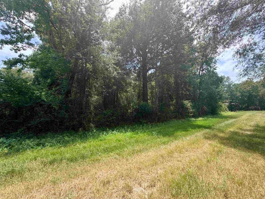 ADDRESS PRIVATE, VILLAGE MILLS, TX 77663 - Image 80c40bd02780974ef11765dc64ccbcb2/2191909066