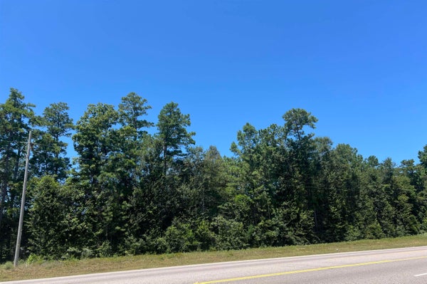 110 US-96 S, SILSBEE, TX 77656 - Image 81ce20ea4613923db132feb34aac30ea/67871243