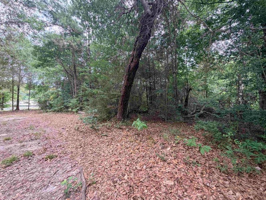 HICKORY LN, WOODVILLE, TX 75979 - Image 83310d28e3a2e832b2a256b11f64ef7e/466341626