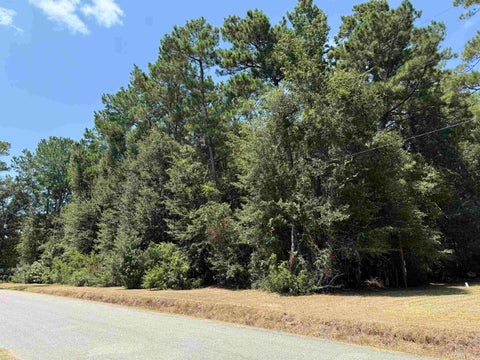 Photo of 10613 Peck Rd, Lumberton, TX 77657 (MLS # 270471)