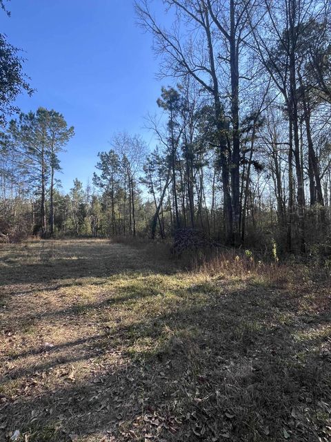 Photo of 600 Blk CR 4001, Newton, TX 75966 (MLS # 264355)