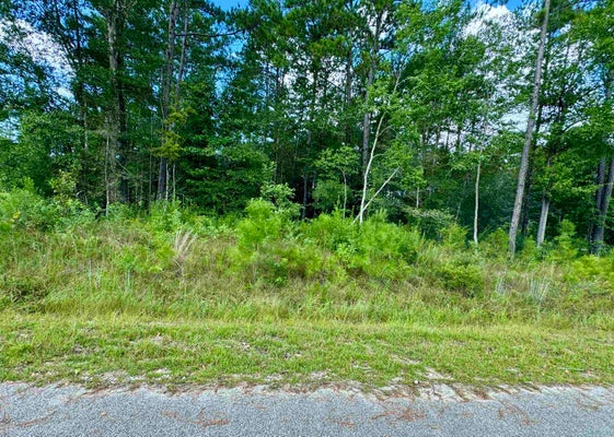 10750 ROCK CREEK RIDGE DR, KOUNTZE, TX 77625 - Image 8865b82b2f8ce9a40bf2b06f729d60ca/357144854