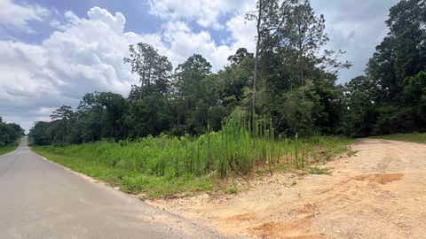Photo of LOT 1 MILLCREEK DRIVE, Woodville, TX 75979 (MLS # 268554)
