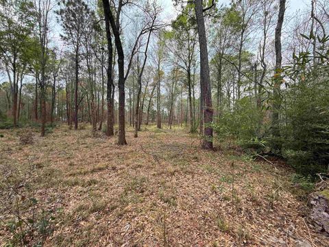 Photo of 325 Jennings Rd, Vidor, TX 77666 (MLS # 265560)