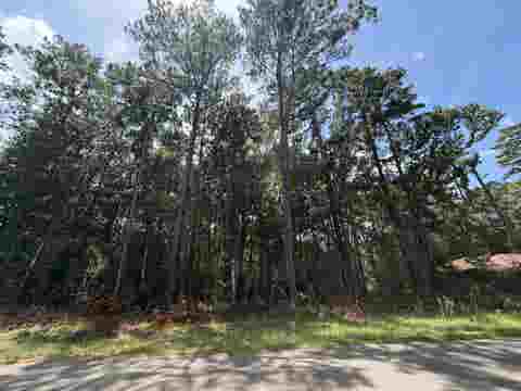 Photo of PID# 41919 W Black Gum, Village Mills, TX 77663 (MLS # 270222)
