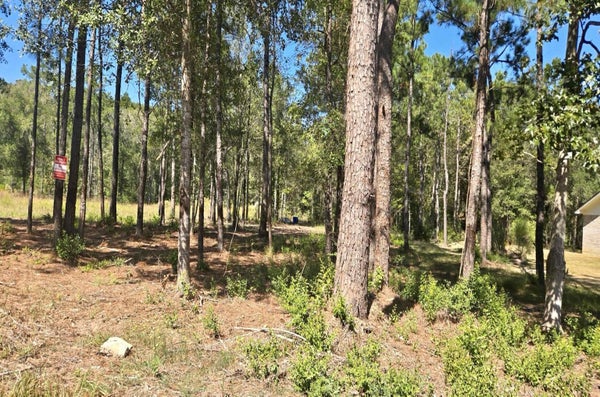 001 GRACE LN, LUMBERTON, TX 77657 - Image 8f2ebcbad3cdbdadaf4253befd31f32b/3292176201