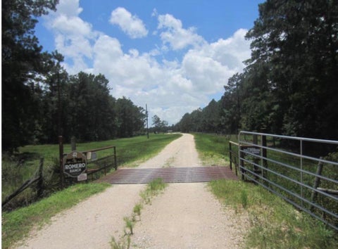 Photo of 17514 Como Ln, Sour Lake, TX 77659 (MLS # 269953)