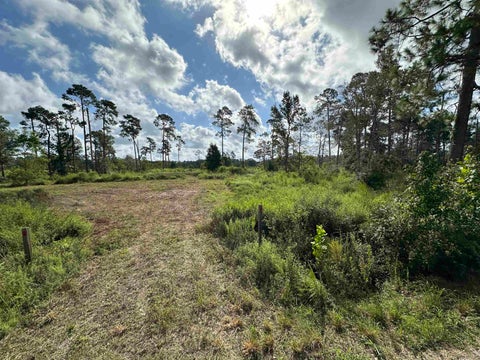 Photo of 6650 Burrell Trail, Kountze, TX 77625 (MLS # 270978)