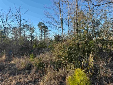 Photo of TBD Private Road 6148, Jasper, TX 75951 (MLS # 265164)