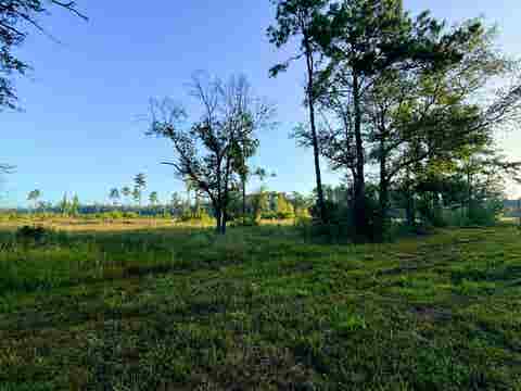 Photo of 000 Fm 1003, Kountze, TX 77625 (MLS # 270109)