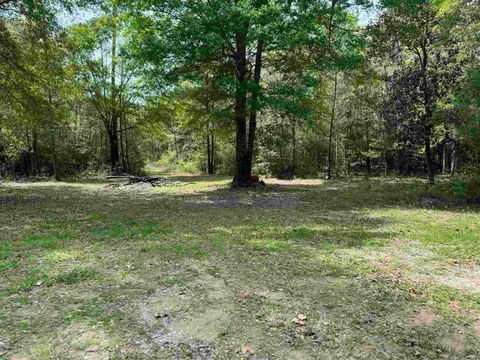 Photo of 10586 Holland, Kountze, TX 77625 (MLS # 264164)