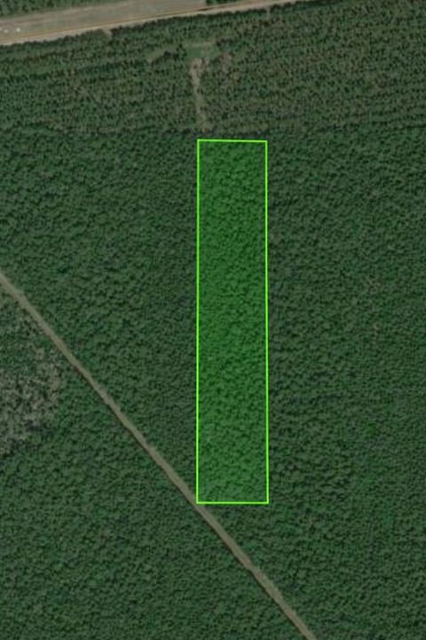 Photo of TBD County Road 770, Kountze, TX 77625 (MLS # 263755)