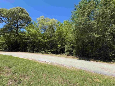 Photo of 000 E Williford, Kountze, TX 77625 (MLS # 266454)
