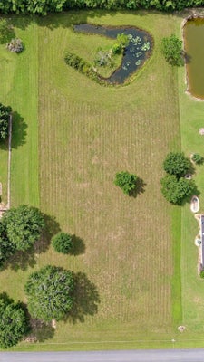10019 REED RANCH RD, SILSBEE, TX 77656 - Image 9dc239a4bac4acb3147dbc04d5d58520/3776228905