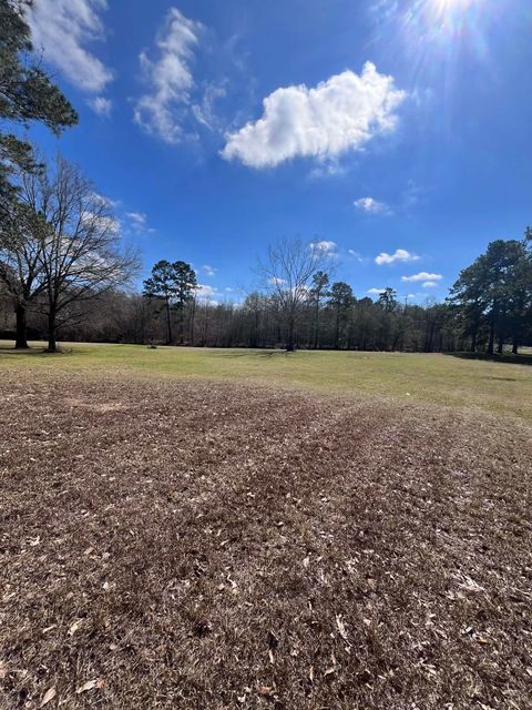 Photo of 8696 FM 1442, Orange, TX 77630 (MLS # 265143)