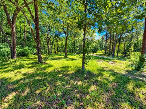 Photo of 20275 Fm 770, Saratoga, TX 77585 (MLS # 271927)