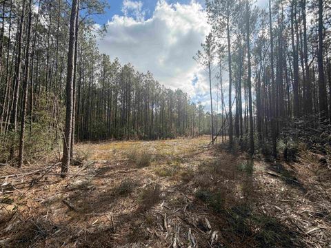 Photo of TBD Cr 721, Buna, TX 77612 (MLS # 264979)