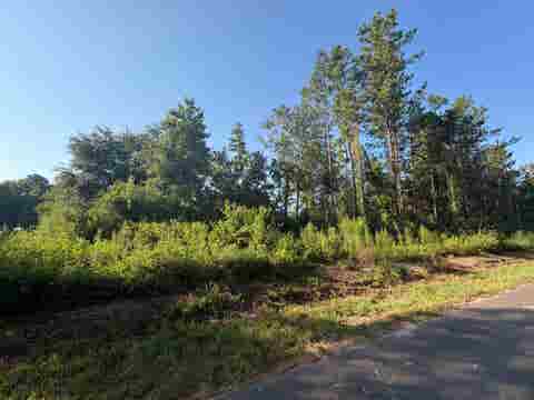 Photo of 000 Cr 721, Buna, TX 77612 (MLS # 269831)