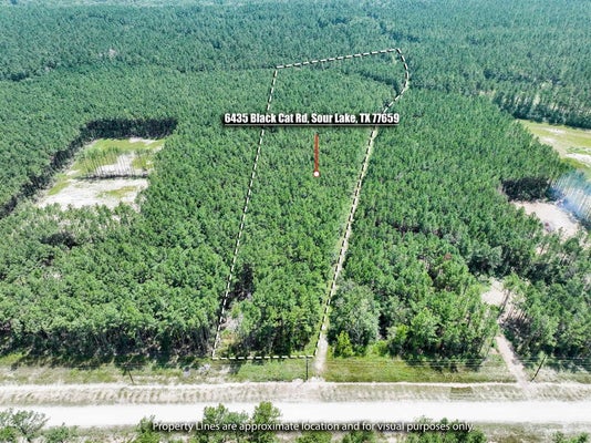 6435 BLACK CAT RD, SOUR LAKE, TX 77659 - Image acb30b1e45f20d5f60953cdbdc5b05ea/1025405726