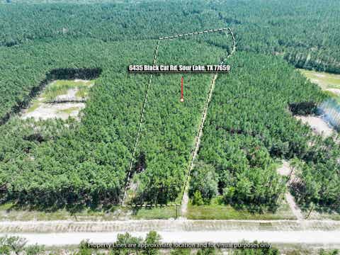 Photo of 6435 Blackcat Rd, Sour Lake, TX 77659 (MLS # 269949)