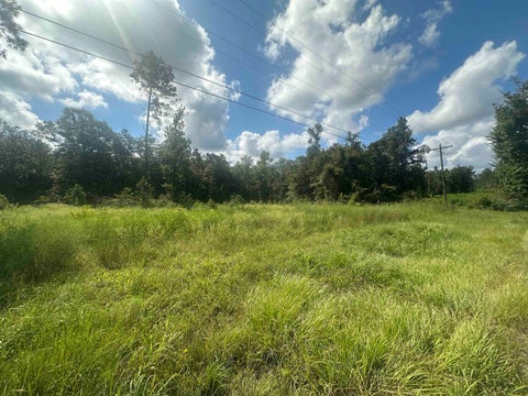 Photo of TBD FM 1005, Jasper, TX 75951 (MLS # 268296)