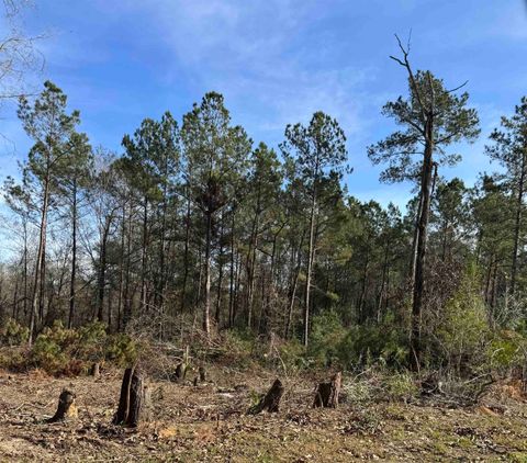 Photo of 5850 Alford Oaks Drive, Beaumont, TX 77713 (MLS # 264468)