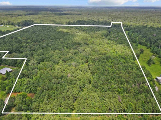 4013 FARM TO MARKET RD 2992, WOODVILLE, TX 75979 - Image b3e12a7d2483e754f692d49dedef1c8c/688121615