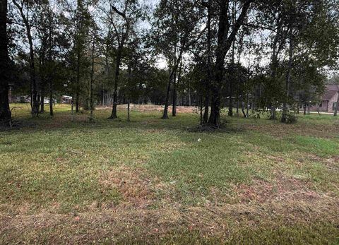 Photo of 330 Talpa Trail, Lumberton, TX 77657 (MLS # 264857)