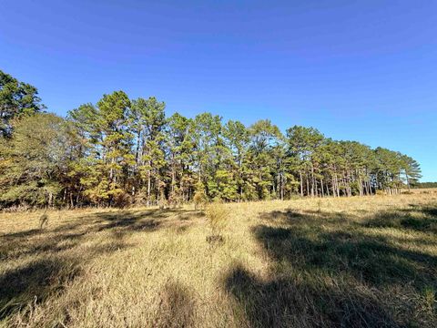 Photo of 000 Lakeland Dr, Hillister, TX 77624 (MLS # 263560)