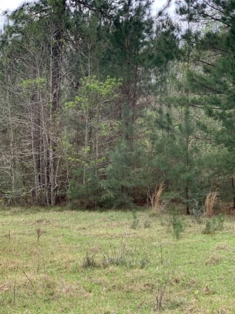 Photo of 9470 US Hwy 96 S, Kirbyville, TX 75956 (MLS # 266081)