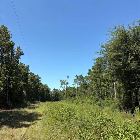 Photo of 001 FM 1005, Jasper, TX 75951 (MLS # 270297)