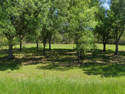Photo of 3872 Fm 1078, Orange, TX 77632 (MLS # 269851)