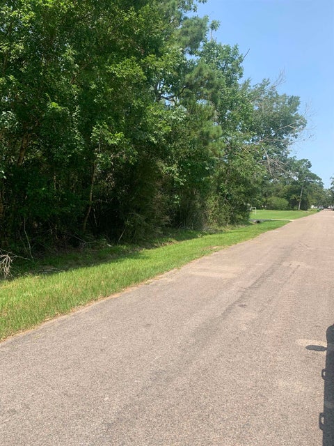 Photo of 350 Pinehurst, Sour Lake, TX 77659 (MLS # 271484)