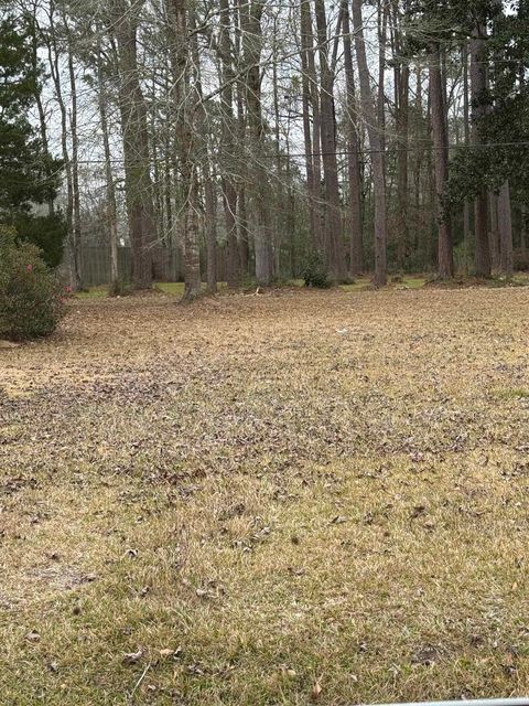 Photo of 0 Jordan Drive, Lumberton, TX 77657 (MLS # 265227)