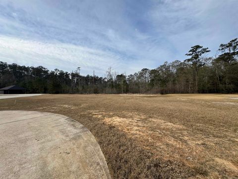 Photo of 6125 Settlement Way, Vidor, TX 77662 (MLS # 264724)