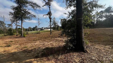 Photo of 1705 Essence Ln, Orange, TX 77630 (MLS # 265324)