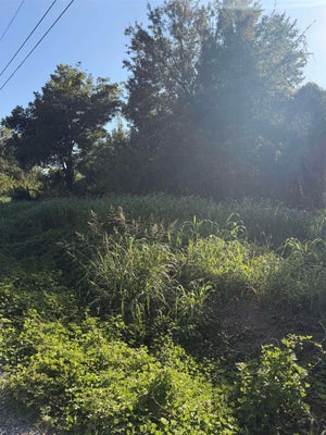 811 1ST ST, ORANGE, TX 77630 - Image c6313addd6d8e1e2df7eec5872ee11a5/1264879588